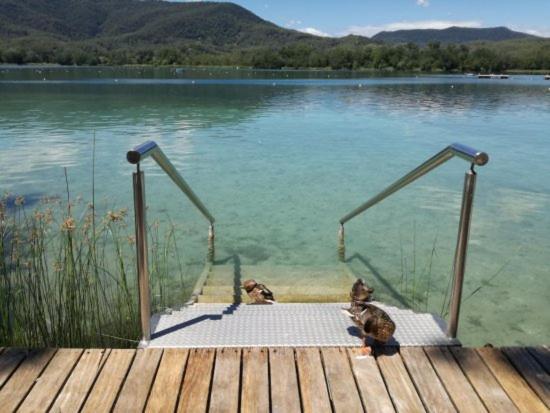 Camping Bungalow El Llac De Banyoles Porqueres Dış mekan fotoğraf