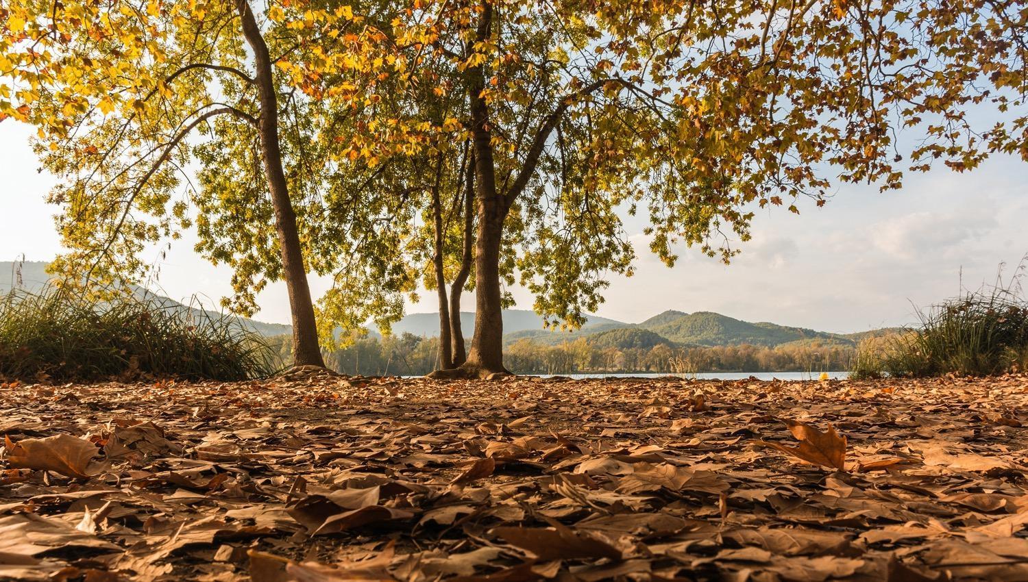 Camping Bungalow El Llac De Banyoles Porqueres Dış mekan fotoğraf